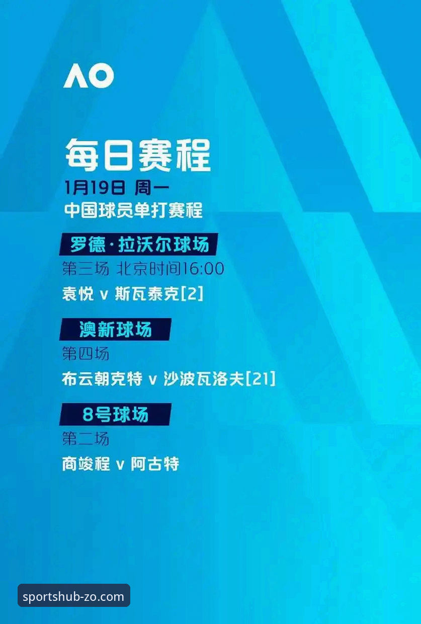 中欧体育登录安装失败深度评测：v2.0.5版本技术解析与解决方案